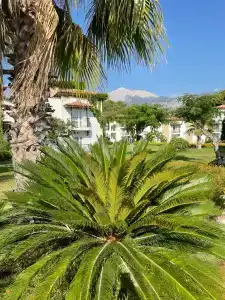 Club Marco Polo - Premium All Inclusive - 14