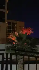 Jumeira Rotana - 60