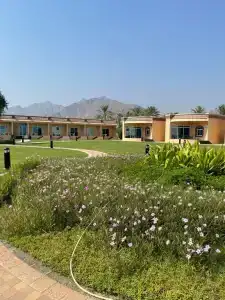 Royal Beach & Resort - 28