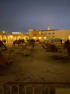 Souq Waqif Boutiques - Tivoli - 8