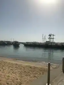 Ivy Cyrene Sharm Resort Adults Friendly Plus 13 - 52