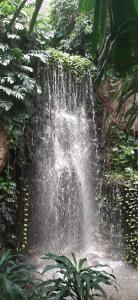 Dusit Thani Pattaya - SHA Extra Plus - 83