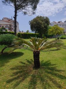 Halıcı Marmaris - 70