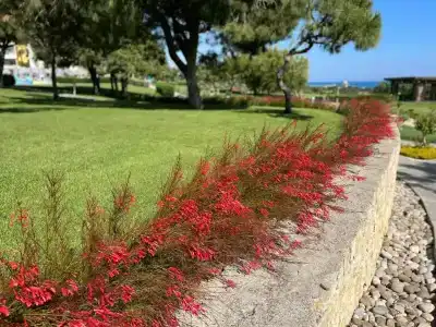 Akra Sorgun Tui Blue Sensatori - All Inclusive - 57