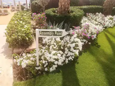 Stella Di Mare Beach & Spa - 14