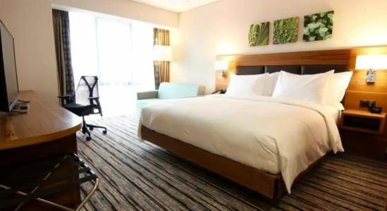 Hilton Garden Inn Ankara Gimat - 58