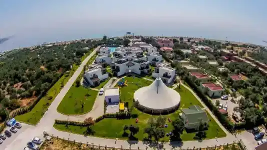 Assos Barbarossa - Special Category - 3