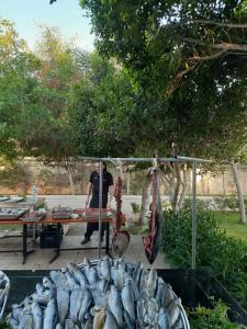 Andriake Beach Club Demre - 94