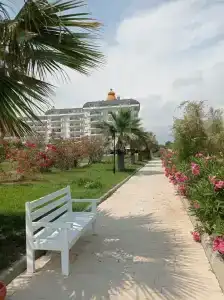 Selectum For Two Side - 70