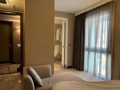 Occidental Ankara - 39