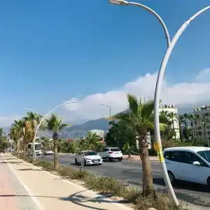 Blue Wave Suite - 87