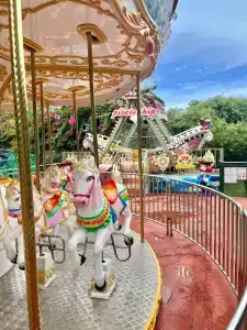 Botanik Platinum - 40