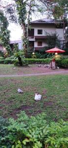 Birds and Bees Resort - 61