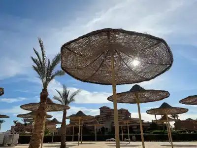 Parrotel Lagoon Waterpark Resort - 2