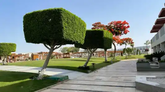 Sunrise Crystal Bay Resort -Grand Select - 8