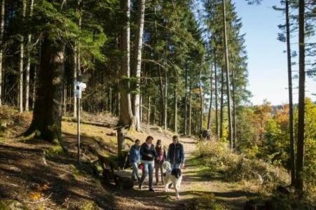 Holiday Inn - Villingen - Schwenningen, an IHG - 32