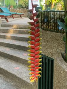 Green View Village Resort - SHA Plus - 29