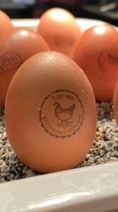 Ortner's Resort - 45