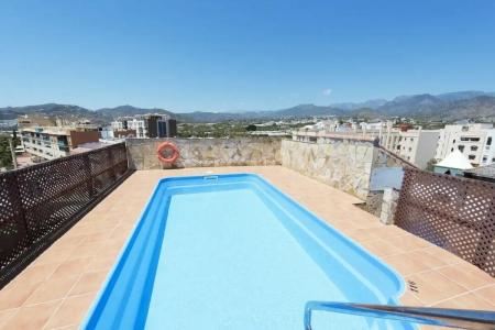 Toboso Chaparil - 43