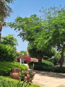 Royal M Abu Dhabi by Gewan - 16