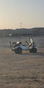 Pyramisa Beach Resort Sahl Hasheesh - 36