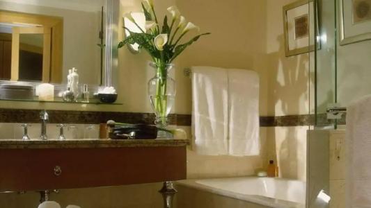 Four Seasons Amman - 29