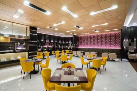 Best Western Plus Wanda Grand - 77
