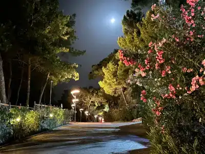 TUI BLUE Seno - Adults Only - 65