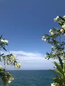 Viking Nona Beach - 40