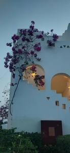 Solymar Naama Bay - 89