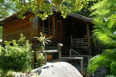 Sensi Paradise Beach Resort - 2