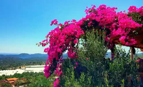 Istlada Taş Ev Apart - Kekova View - 52