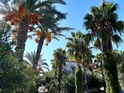 Sunlight Garden - 21