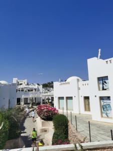 Domina Coral Bay Resort, Diving , Spa & Casino - 91