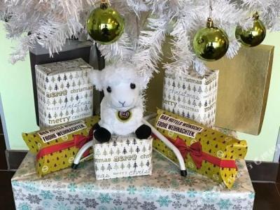 B&B Berlin-Airport - 35