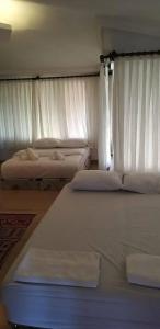 The Hill Glamping Cirali - 21