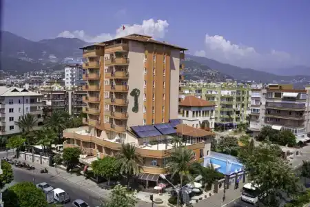 May Flower Apart - 53