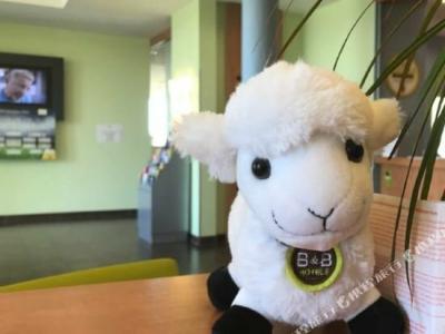 B&B Berlin-Airport - 39