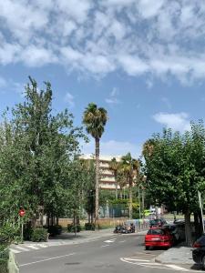 Hotel-ApartDorada Palace - 15