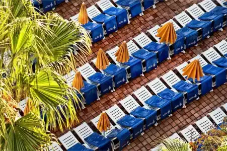 Spring Bitácora - 25