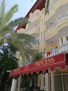 Artemis Princess - 47