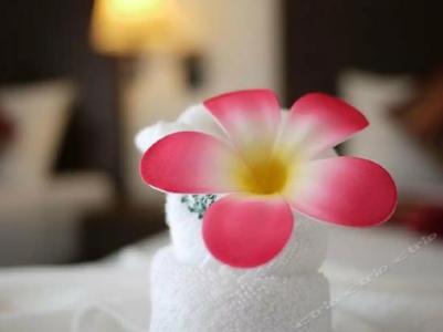 Naithon Beach Mansion - 4