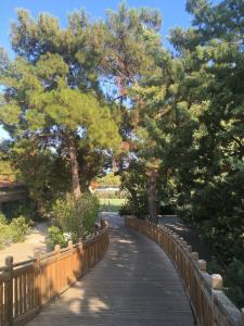 Crystal Prestige Elite - 66