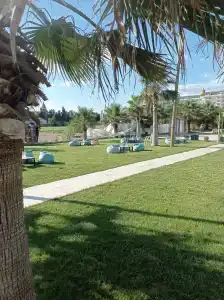 Selectum For Two Side - 81