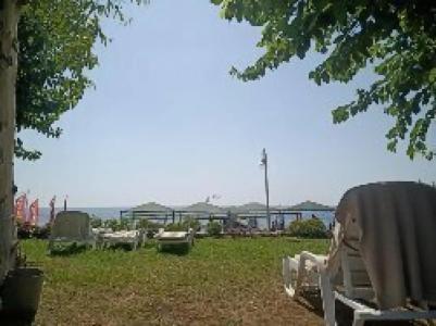 Queen's Park Le Jardin - 48