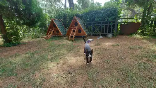 Grand Yazici Club Turban Termal - 54