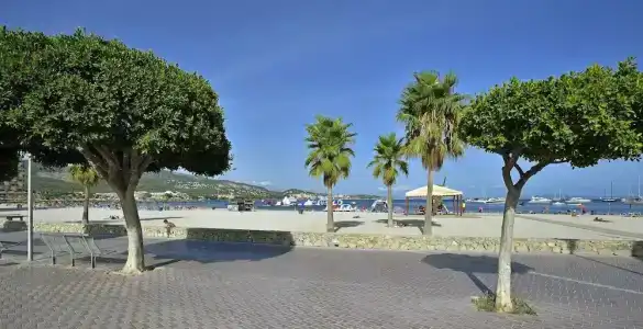 Sol Palmanova Mallorca - 8