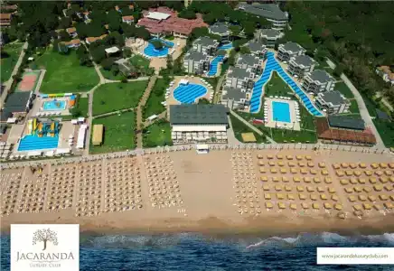 Tuı Magic Life Jacaranda - 11