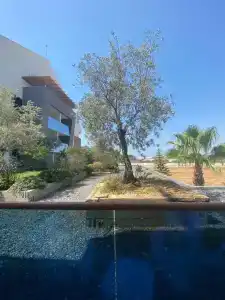 Terrace Elite Resort Ultra All Inclusive - 23