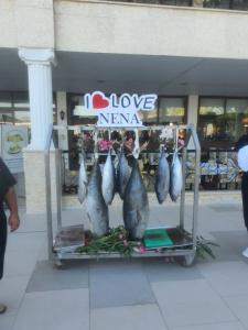 Club Nena - All Inclusive - 37